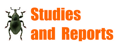 Studies and Reports